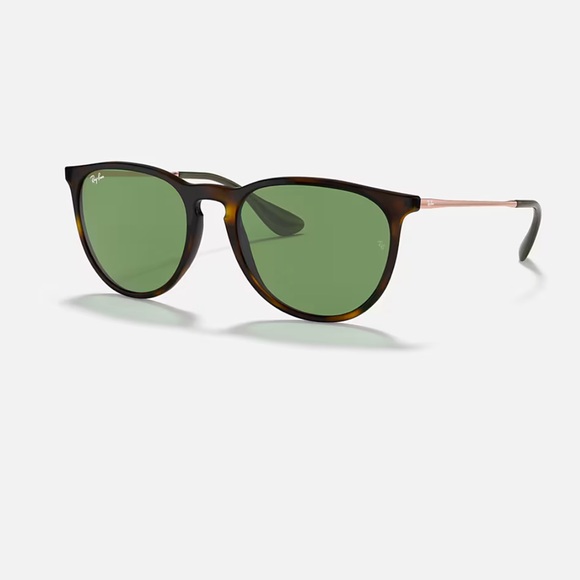 Ray-Ban RB4171 Erika Round Sunglasses